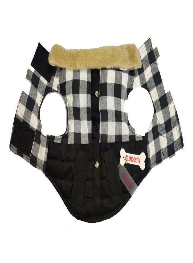Choostix Brit Checkmate, Dog and Cat Jacket, Winter Wear, Fur Collar, Plaid Fabric with Golden Button, Black & White Designer Checks, 2XL, 300g, Large, 300 g - Image 3
